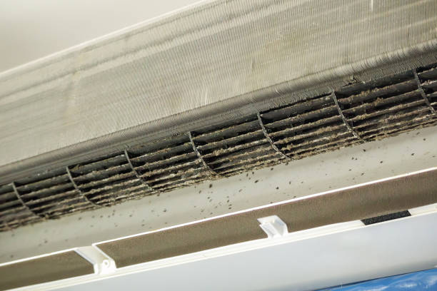 Best Home Air Vent Cleaning  in Harrison, NJ